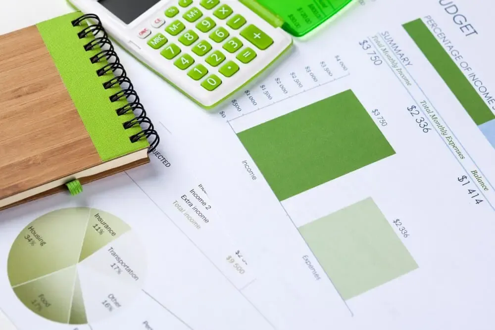 Budget analysis for rental software cost management.