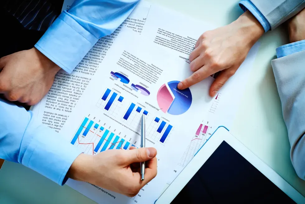 Professionals reviewing demand data for cabin rentals