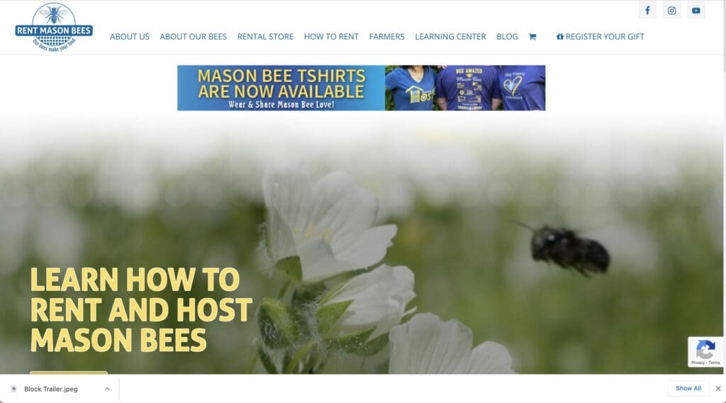 RentMy WordPress rental plugin client website